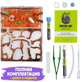 Муравьиная ферма Медиум "Дерево" (ПОЛНЫЙ КОМПЛЕКТ) Муравьиная ферма Медиум "Дерево" (ПОЛНЫЙ КОМПЛЕКТ)