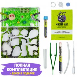 Муравьиная ферма Медиум “Горный мох” (ПОЛНЫЙ КОМПЛЕКТ) Муравьиная ферма Медиум “Горный мох” (ПОЛНЫЙ КОМПЛЕКТ)