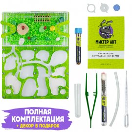 Муравьиная ферма Медиум "Зеленый лист" (ПОЛНЫЙ КОМПЛЕКТ) Муравьиная ферма Медиум "Зеленый лист" (ПОЛНЫЙ КОМПЛЕКТ)