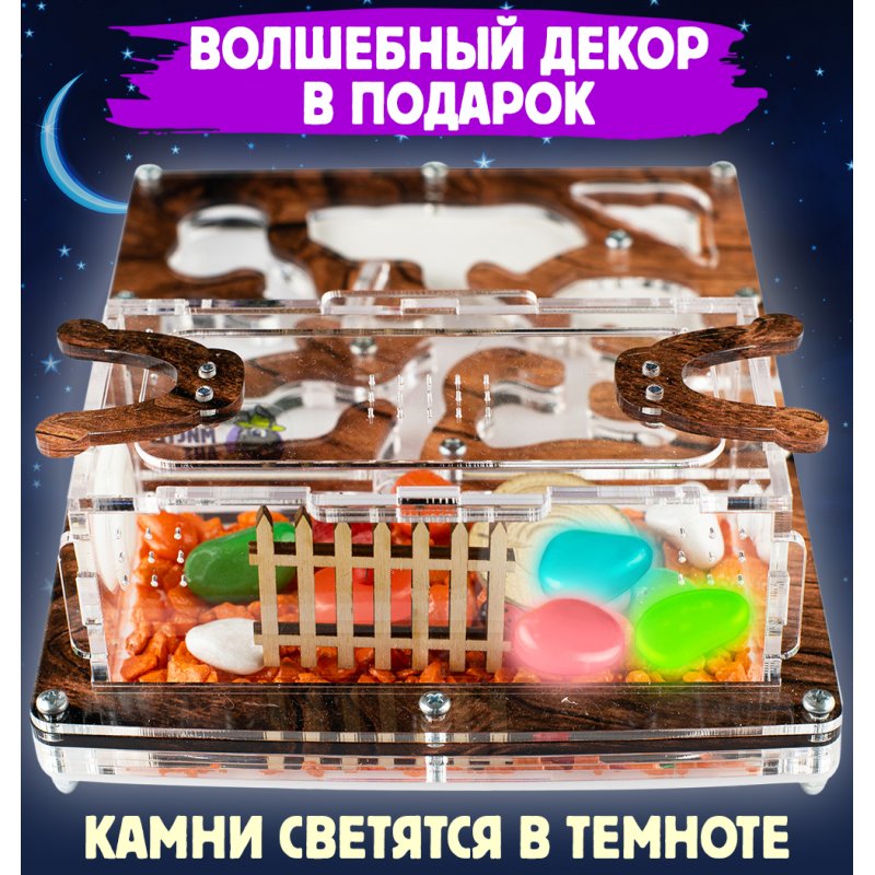 Муравьиная ферма Мини ПРО "Дерево" (ПОЛНЫЙ КОМПЛЕКТ) Муравьиная ферма Мини ПРО "Дерево" (ПОЛНЫЙ КОМПЛЕКТ)