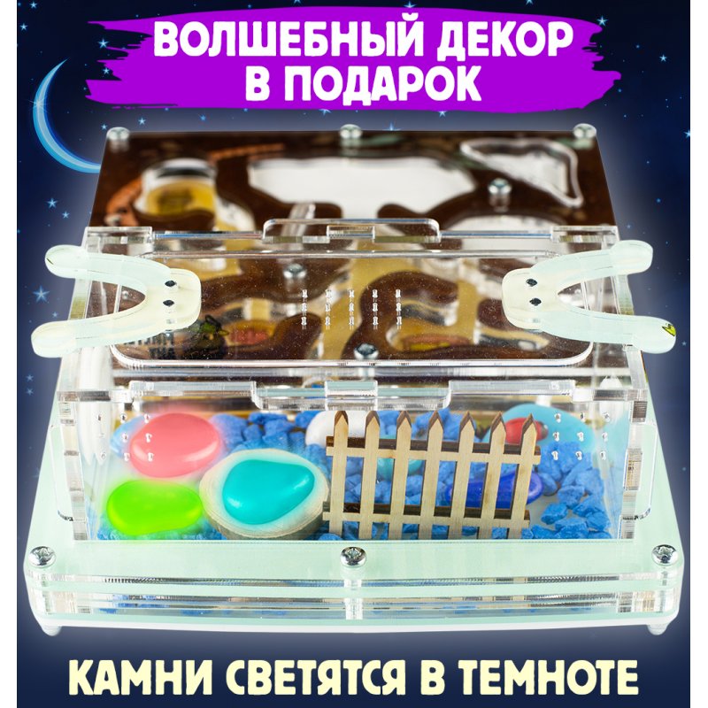 Муравьиная ферма Мини ПРО "Подземные друзья" (ПОЛНЫЙ КОМПЛЕКТ) Муравьиная ферма Мини ПРО "Подземные друзья" (ПОЛНЫЙ КОМПЛЕКТ)