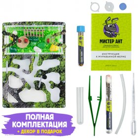 Муравьиная ферма Мини ПРО "Горный мох" (ПОЛНЫЙ КОМПЛЕКТ)