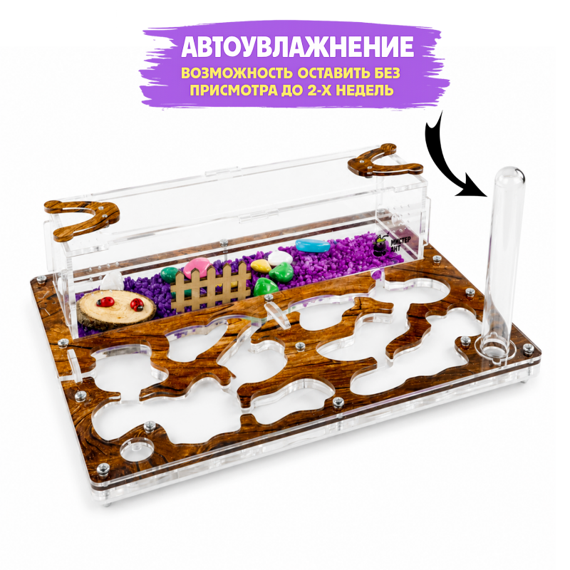 Муравьиная ферма Медиум "Дерево" (ПОЛНЫЙ КОМПЛЕКТ) Муравьиная ферма Медиум "Дерево" (ПОЛНЫЙ КОМПЛЕКТ)