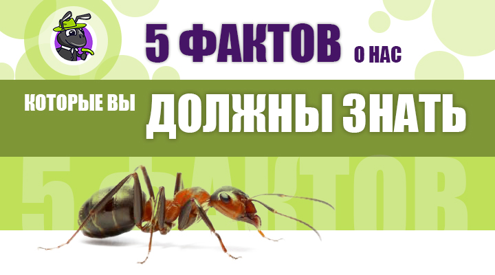 Лучше всего о нас расскажут 5 фактов
